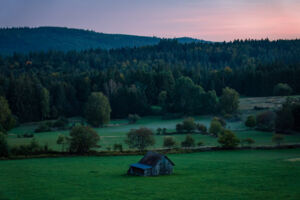Wunderbar wild: Wochenende für Frauen im Schwarzwald