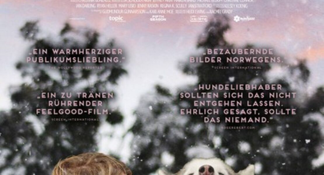 folktales-mit-schlittenhunden-ins-leben